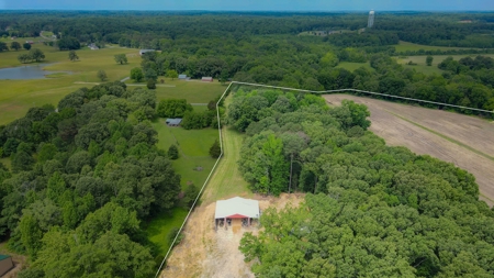 Hobby Farm for Sale Near TN River w/ Shop & Ponds in Camden - image 30