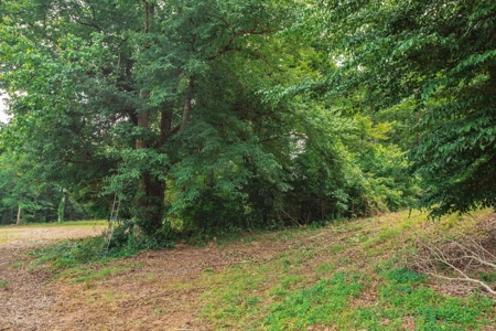 Hobby Farm for Sale Near TN River w/ Shop & Ponds in Camden - image 10