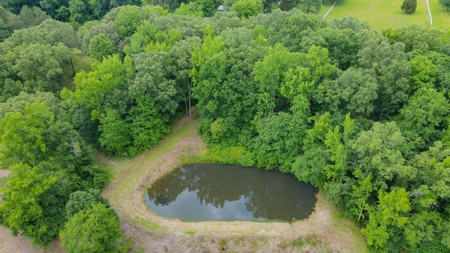Hobby Farm for Sale Near TN River w/ Shop & Ponds in Camden - image 29