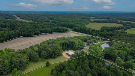 Hobby Farm for Sale Near TN River w/ Shop & Ponds in Camden - image 32