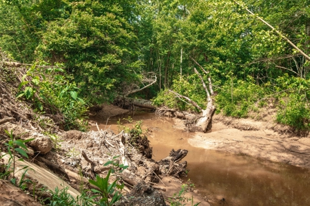 Hobby Farm for Sale Near TN River w/ Shop & Ponds in Camden - image 12