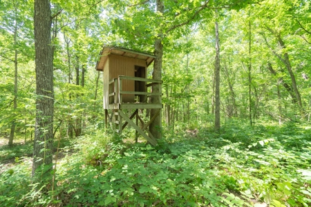 Country Home and Land for Sale in Vienna, MO - image 45