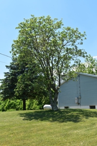 Move in ready with incredible view! - image 2