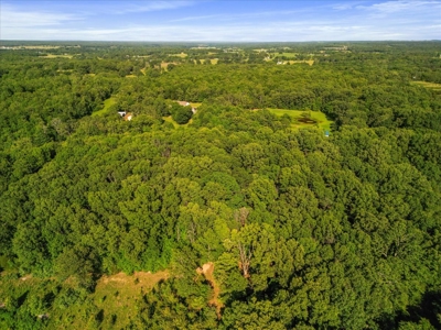 Charming Ranch Style Home on 6.62 Acres Howell County MO - image 19