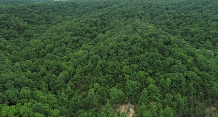 14 Acres for sale in Edmonton, KY - image 4