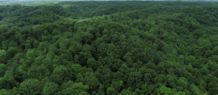 14 Acres for sale in Edmonton, KY - image 3