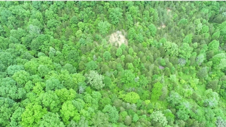 14 Acres for sale in Edmonton, KY - image 1