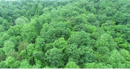 14 Acres for sale in Edmonton, KY - image 2