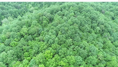 14 Acres for sale in Edmonton, KY - image 5