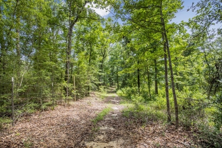 Country Home for Sale with Pond, Barn & Shops Marion Co, MS - image 29