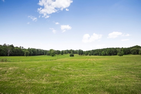 Country Home for Sale with Pond, Barn & Shops Marion Co, MS - image 32