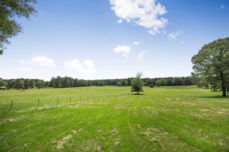 Country Home for Sale with Pond, Barn & Shops Marion Co, MS - image 31