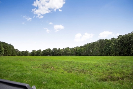 Country Home for Sale with Pond, Barn & Shops Marion Co, MS - image 33