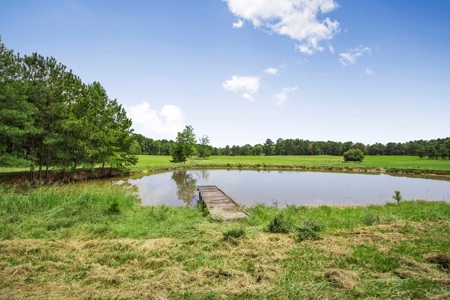 Country Home for Sale with Pond, Barn & Shops Marion Co, MS - image 24