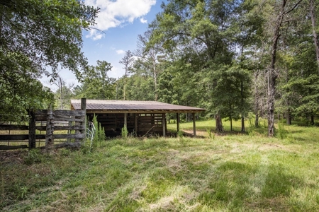 Country Home for Sale with Pond, Barn & Shops Marion Co, MS - image 25