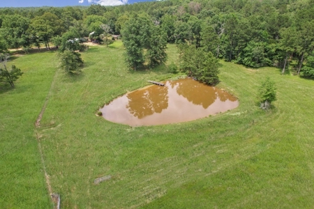 Country Home for Sale with Pond, Barn & Shops Marion Co, MS - image 38