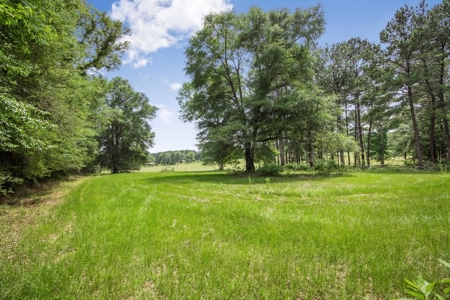 Country Home for Sale with Pond, Barn & Shops Marion Co, MS - image 30