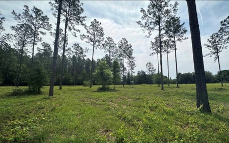 Country Home on 5 Acres in High Springs, FL - image 27
