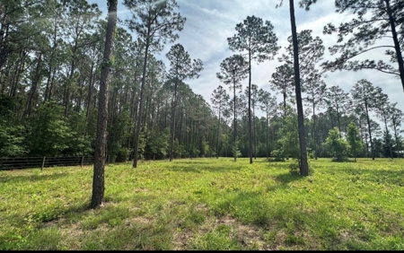 Country Home on 5 Acres in High Springs, FL - image 25