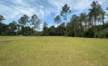 Country Home on 5 Acres in High Springs, FL - image 24