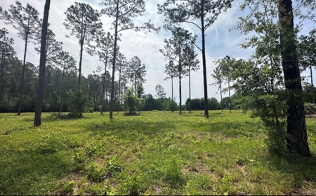 Country Home on 5 Acres in High Springs, FL - image 26