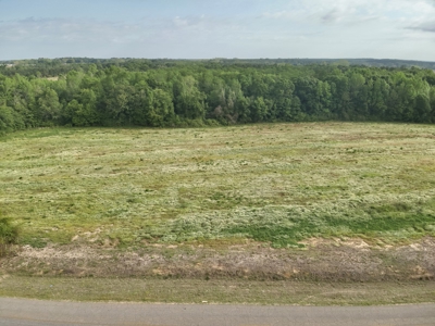 Land for sale in Hartford, Alabama - image 13