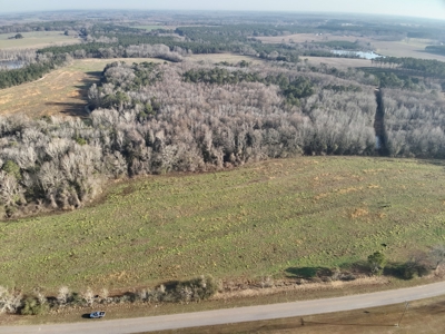 Land for sale in Hartford, Alabama - image 17