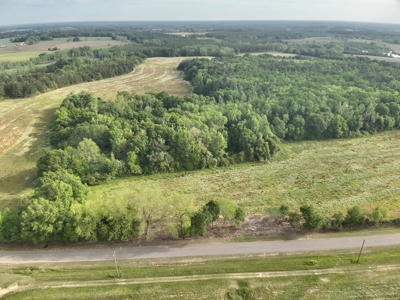 Land for sale in Hartford, Alabama - image 8