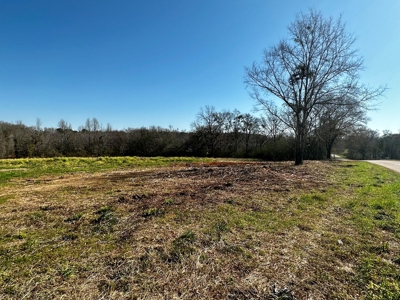 Land for sale in Hartford, Alabama - image 18
