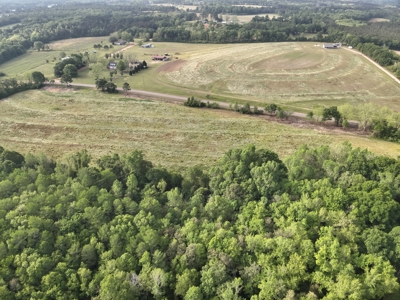 Land for sale in Hartford, Alabama - image 10