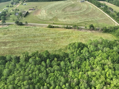 Land for sale in Hartford, Alabama - image 11