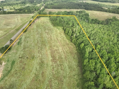 Land for sale in Hartford, Alabama - image 22