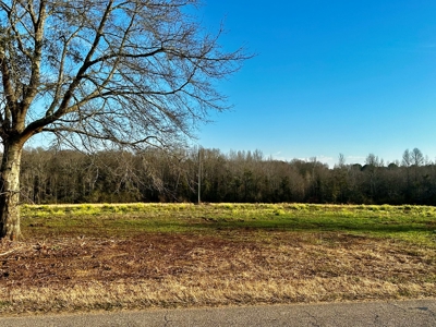 Land for sale in Hartford, Alabama - image 14