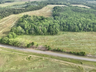Land for sale in Hartford, Alabama - image 6