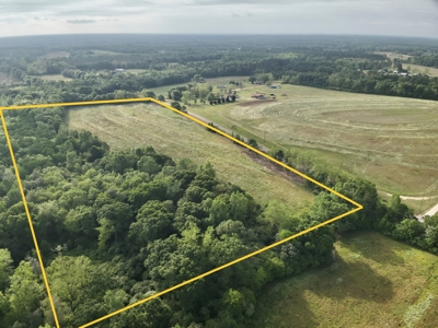 Land for sale in Hartford, Alabama - image 19