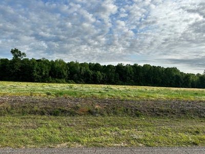 Land for sale in Hartford, Alabama - image 2