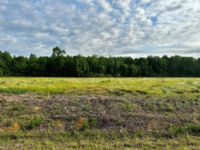 Land for sale in Hartford, Alabama - image 1