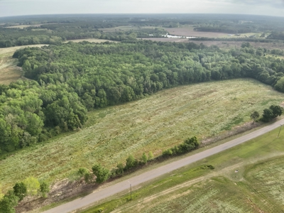 Land for sale in Hartford, Alabama - image 7