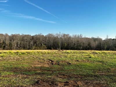 Land for sale in Hartford, Alabama - image 15