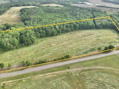 Land for sale in Hartford, Alabama - image 21