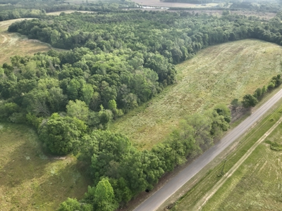 Land for sale in Hartford, Alabama - image 9