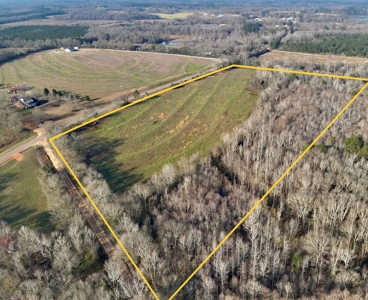 Land for sale in Hartford, Alabama - image 20