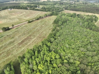 Land for sale in Hartford, Alabama - image 12