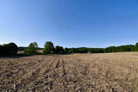 Spencer County Indiana Farm For Sale, Tillable & Pastures - image 24