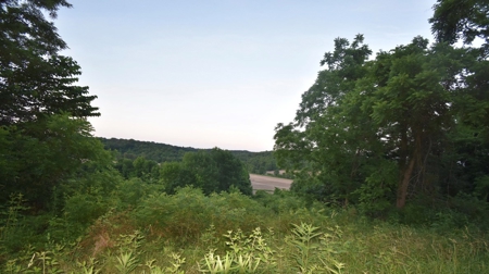 Spencer County Indiana Farm For Sale, Tillable & Pastures - image 47