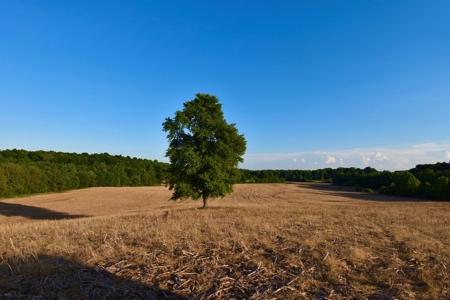 Spencer County Indiana Farm For Sale, Tillable & Pastures - image 36