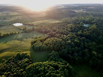 Spencer County Indiana Farm For Sale, Tillable & Pastures - image 15