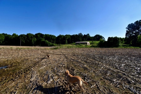 Spencer County Indiana Farm For Sale, Tillable & Pastures - image 19