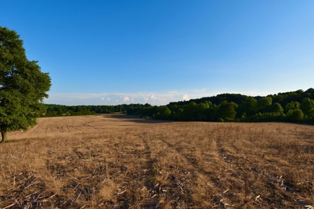 Spencer County Indiana Farm For Sale, Tillable & Pastures - image 37