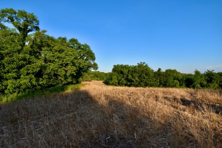 Spencer County Indiana Farm For Sale, Tillable & Pastures - image 39